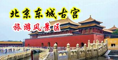操逼鸡巴黄色视频中国北京-东城古宫旅游风景区